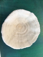 Vintage White Bowl Coral- 9
