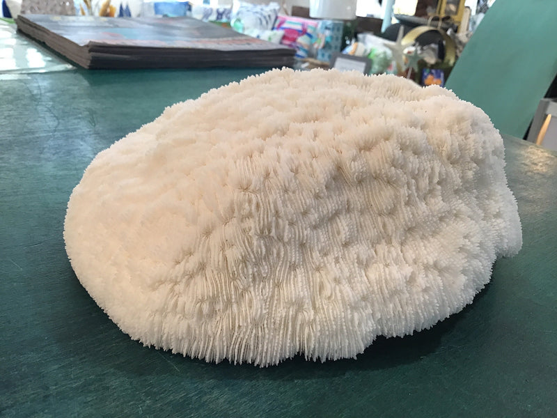 Vintage White Bowl Coral- 7.75"