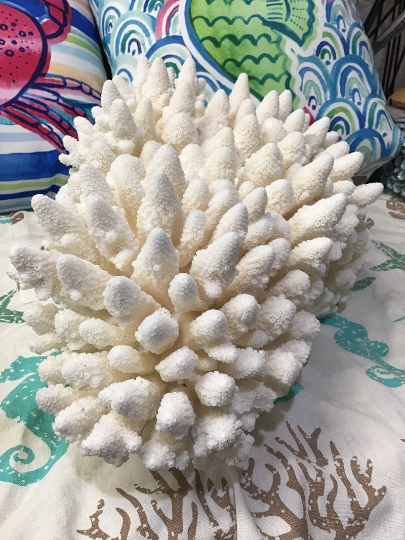 Vintage White Finger Coral- 20"