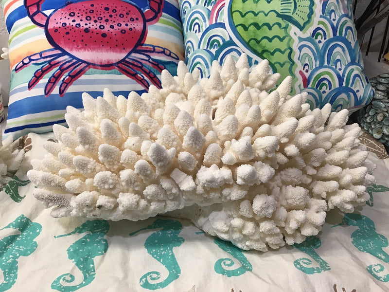 Vintage White Finger Coral- 20"