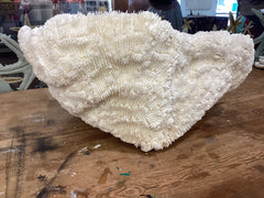 Vintage White Bowl Coral