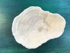 Vintage White Bowl Coral- 9.5