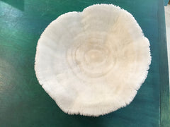 Vintage White Bowl Coral- 9
