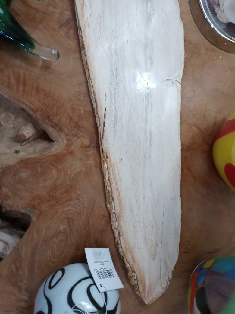 Petrified Wood Slice Charcuterie Cheese Board