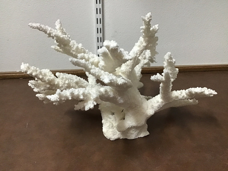 Vintage White Branch Coral    Branch-2  OR