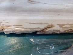 Petrified Wood Slice Charcuterie Cheese Board