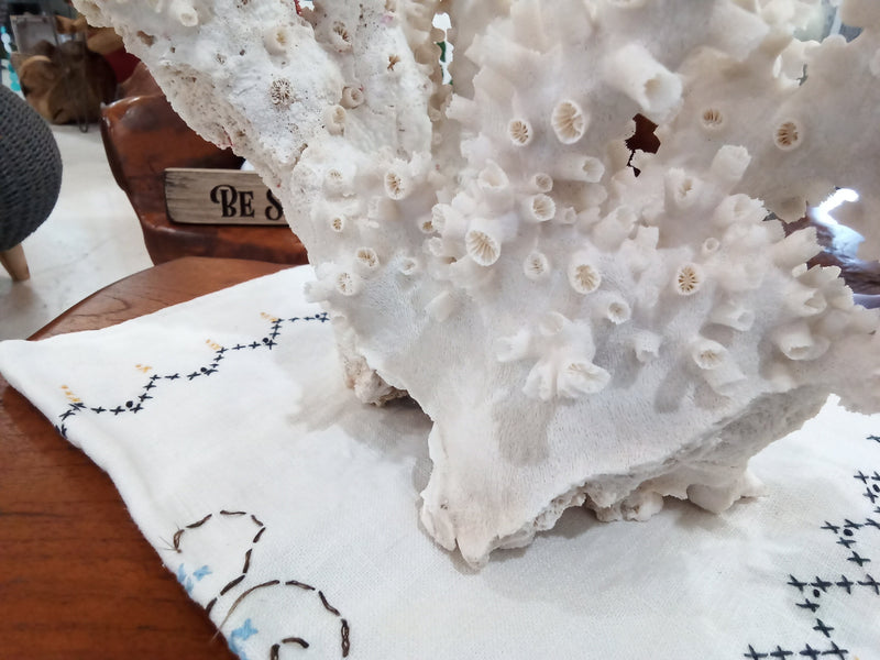 Vintage White Octopus Coral- 18"