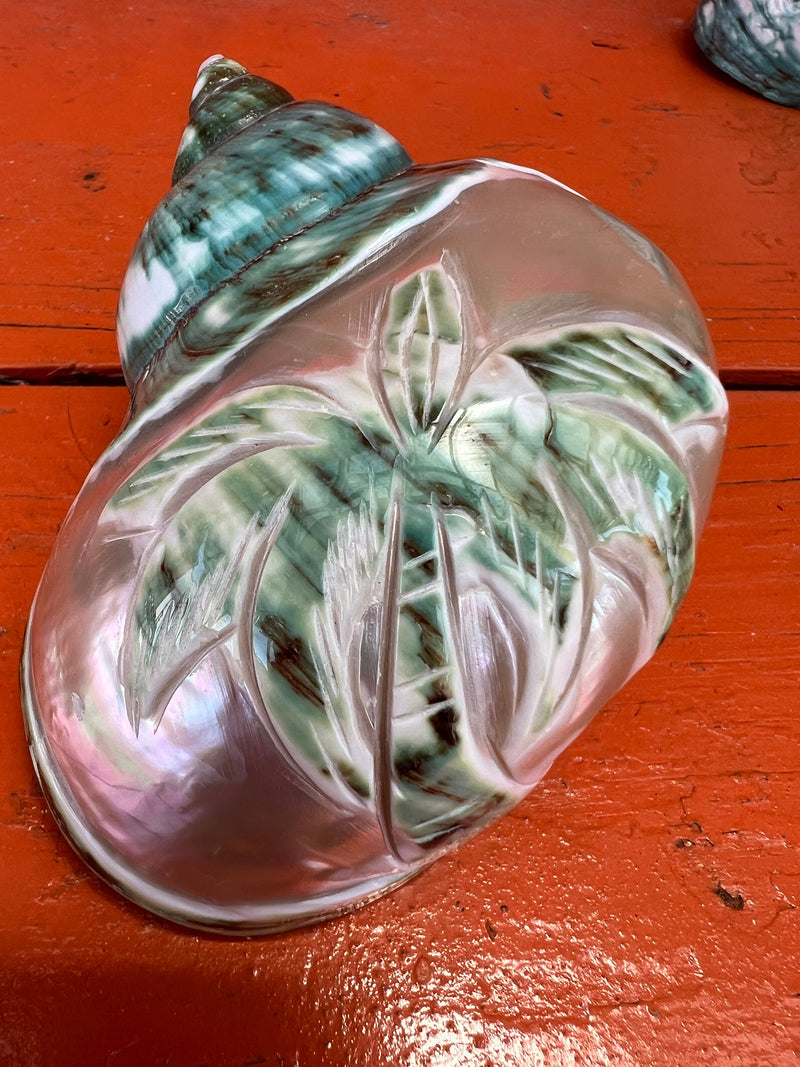 Polished & Carved Green Jade Pearl Turbo 3 Styles Sea Turtle Palm Tree Dolphin Seashells Shells