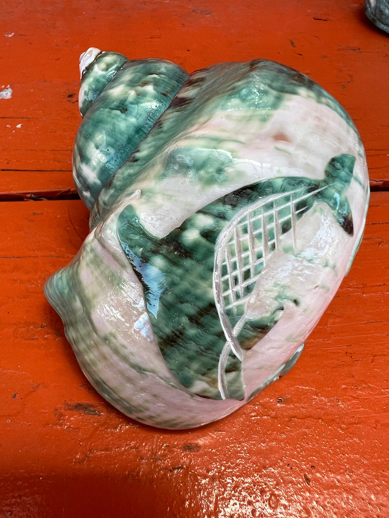 Polished & Carved Green Jade Pearl Turbo 3 Styles Sea Turtle Palm Tree Dolphin Seashells Shells