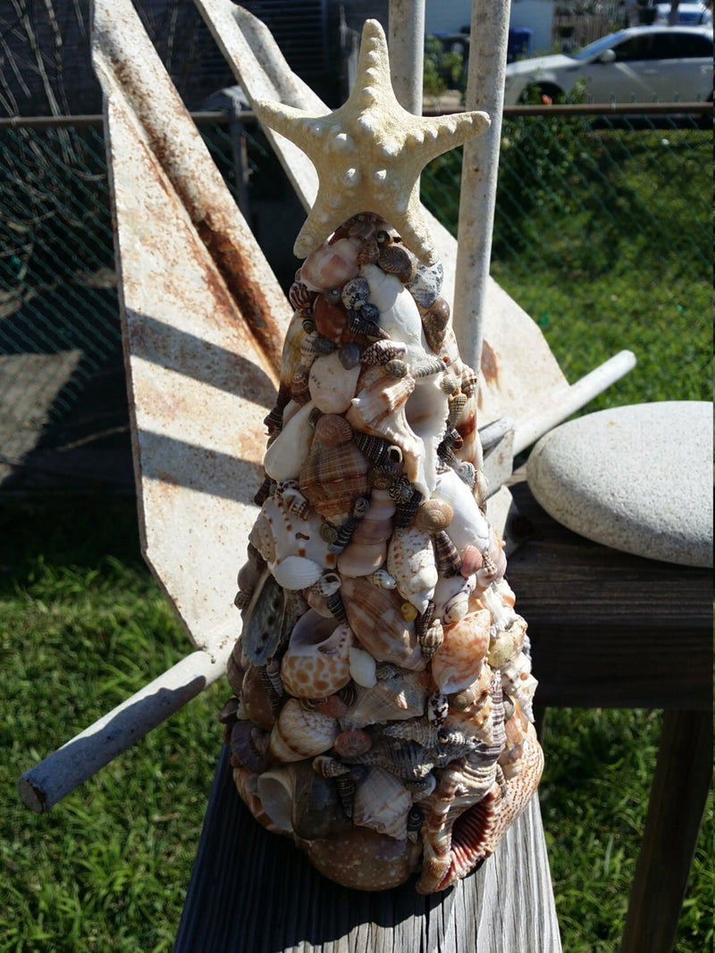 Shell Tree Mixed Seashells with Starfish Top