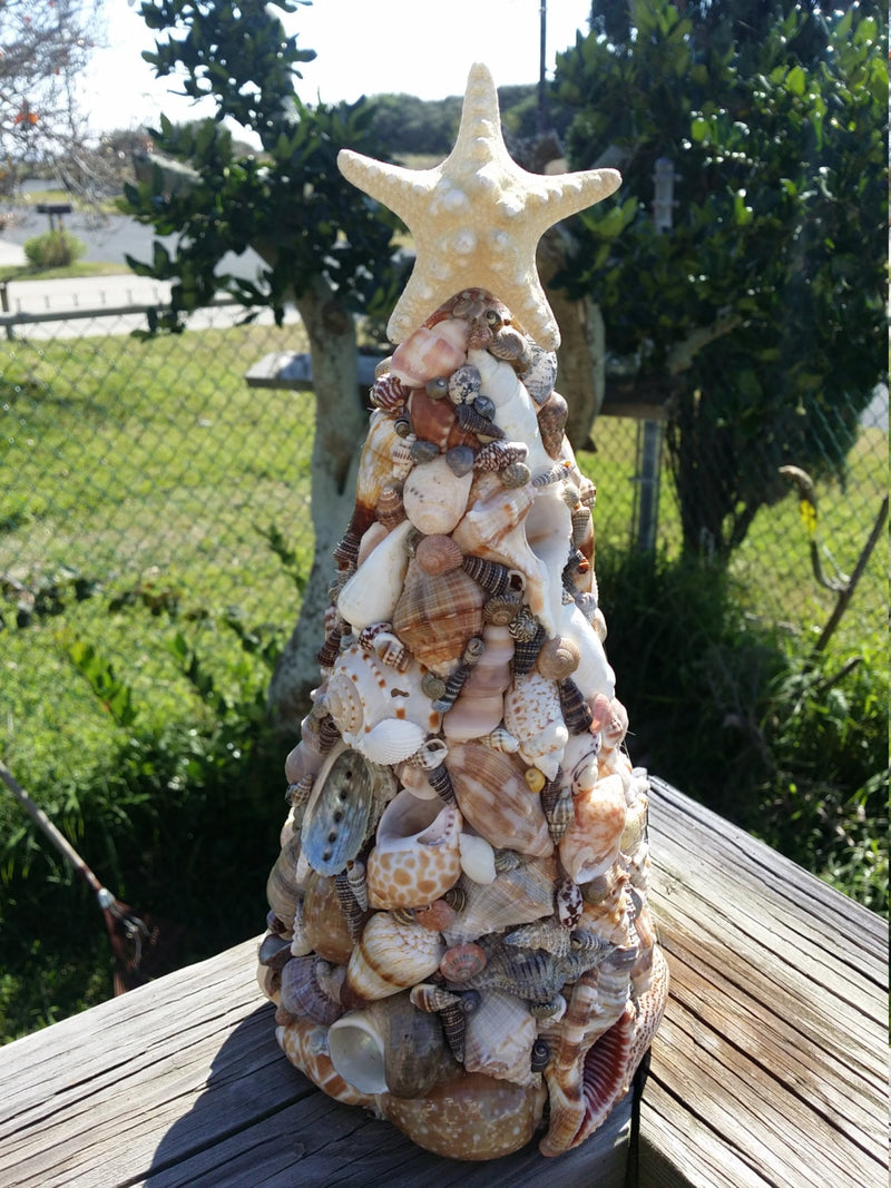 Shell Tree Mixed Seashells with Starfish Top