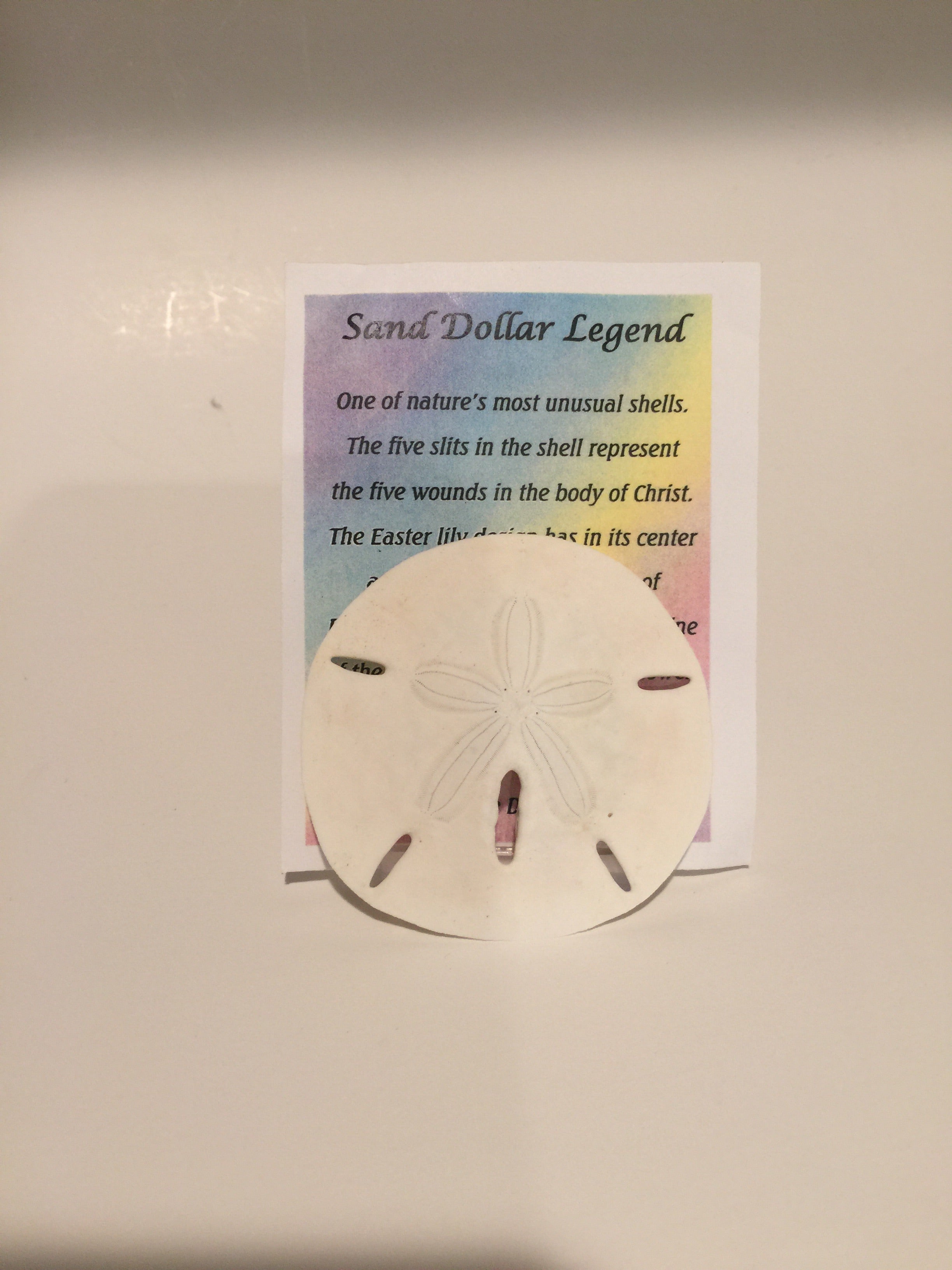 Story of the Sand Dollar