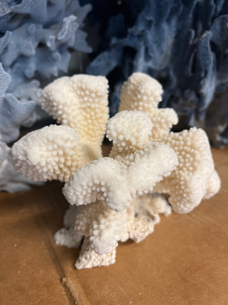 Vintage Cauliflower Coral- 7"