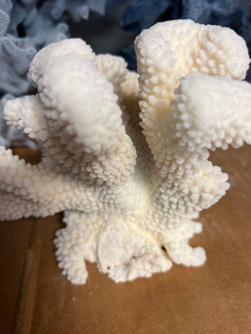 Vintage Cauliflower Coral- 7"
