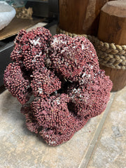VIntage Raw Red Pipe Coral- 9