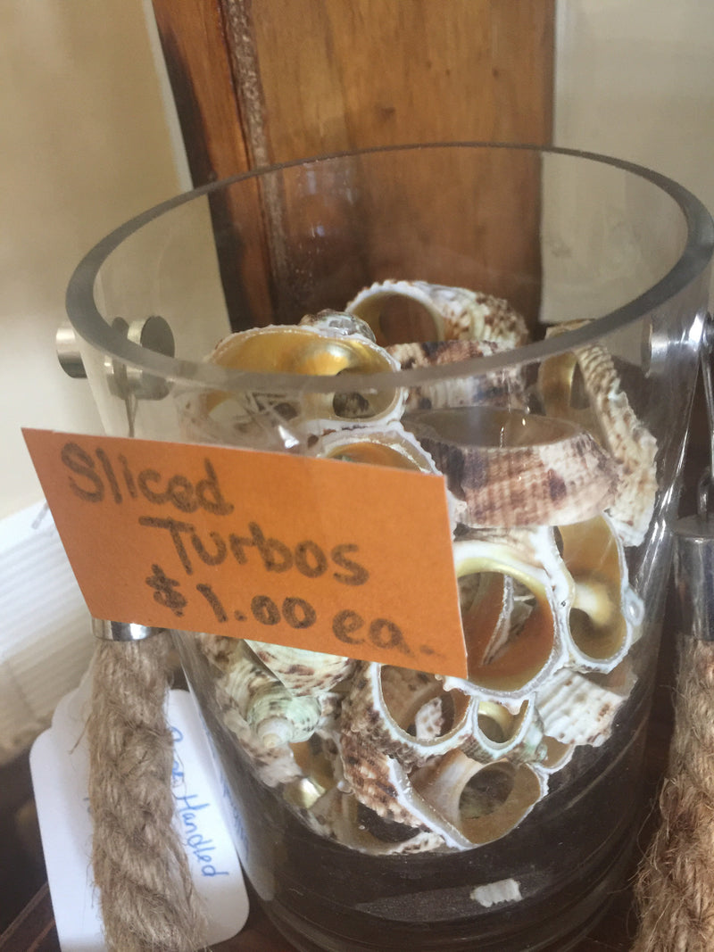 Sliced Cut Silvermouth Turbo Shells
