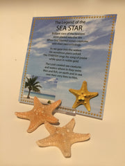 Sea Star Legend