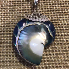 Deep Blue Nautilus Core Pendant