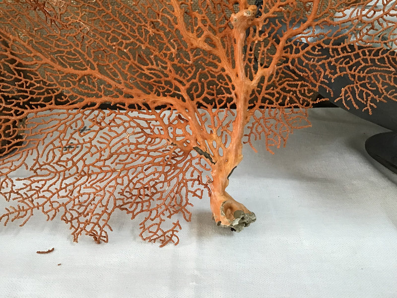 Decorative Orange Crystalline Coral Reef, Xmas Decor, Coral Decor