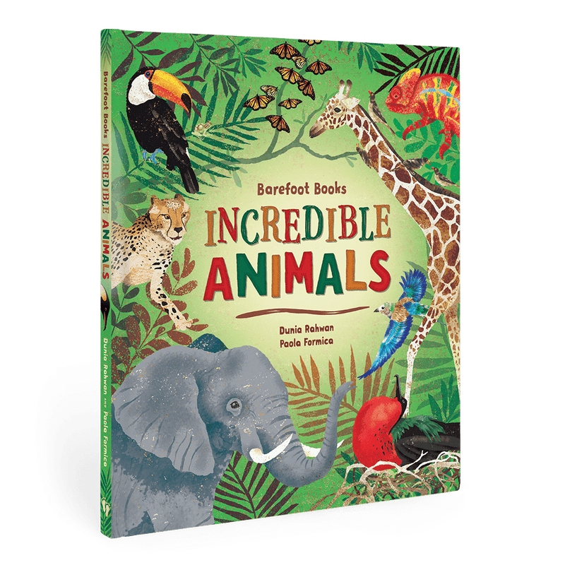 Incredible Animals - Hardcover Children's Book - Just for KidsBarefoot Books