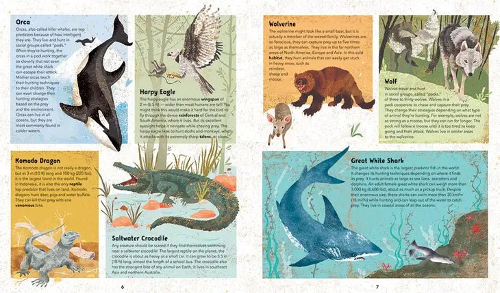 Incredible Animals - Hardcover Children's Book - Just for KidsBarefoot Books