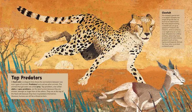 Incredible Animals - Hardcover Children's Book - Just for KidsBarefoot Books