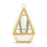 Conservatory Frosted Brass Ornament - Large & Small