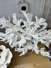 Large Branch Coral Creation - 26