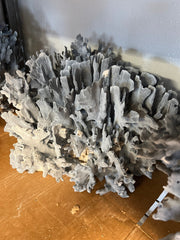 Light Blue Ridge Coral Sculpture - 20