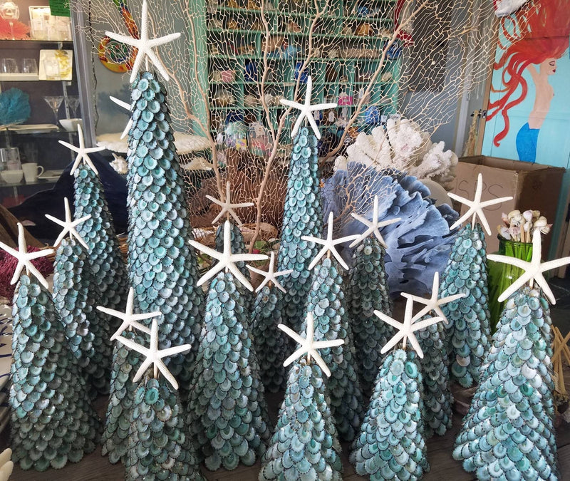 Limpet Shell Tree with White Starfish Top - Seasonal & Holiday DecorationsLoving Coastal Living