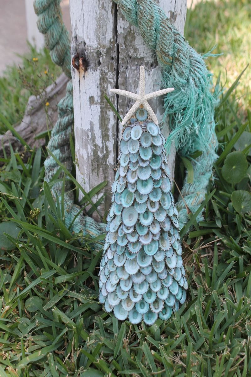 Limpet Shell Tree with White Starfish Top - Seasonal & Holiday DecorationsLoving Coastal Living