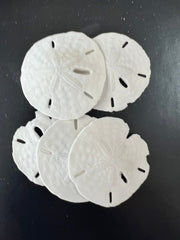 Loose White Sand Dollar Bleached - Sand DollarLoving Coastal Living