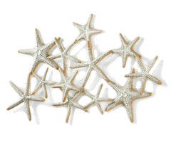 Metal Starfish Wall Decor - Wall DecorGiftcraft Inc.