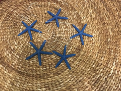 Natural Blue Finger Starfish Garland for Coastal Decorating/ Starfish on String Garland/ Mantle Decor Display Theme SEA