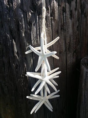 Natural White Finger Starfish Hanging Strand for Coastal Christmas Decorating/ Starfish on a String Wall Decor Hanger - Etsy