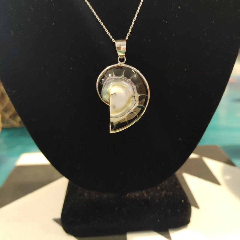 Nautilus Core with Black Resin Pendant - JewelryRose Classics Inc