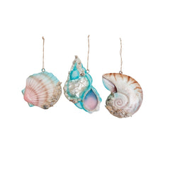 Coral Reef Shell Ornament - 3 Styles