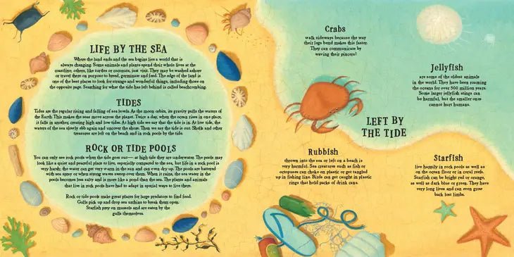 Out of the Blue - Mysteries of the Sea Children's Book - Just for KidsBarefoot Books