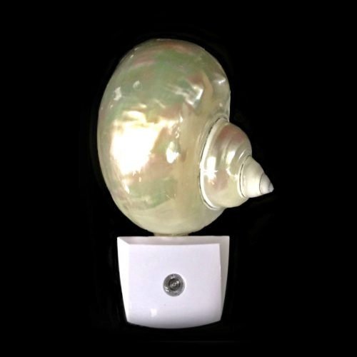 Pearl Jade Turbo Shell LED Night Light - NightlightTideline