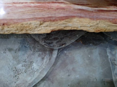 Petrified Wood Slice Charcuterie Cheese Board - Kitchen AccessoriesHousewares & Tabletops by Contrast Inc.