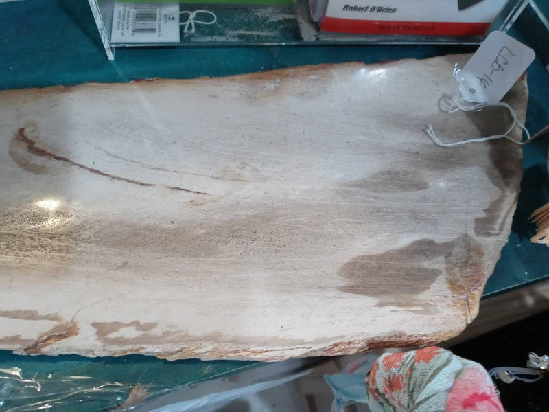 Petrified Wood Slice Charcuterie Cheese Board - Kitchen AccessoriesHousewares & Tabletops by Contrast Inc.