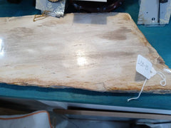 Petrified Wood Slice Charcuterie Cheese Board - Kitchen AccessoriesHousewares & Tabletops by Contrast Inc.