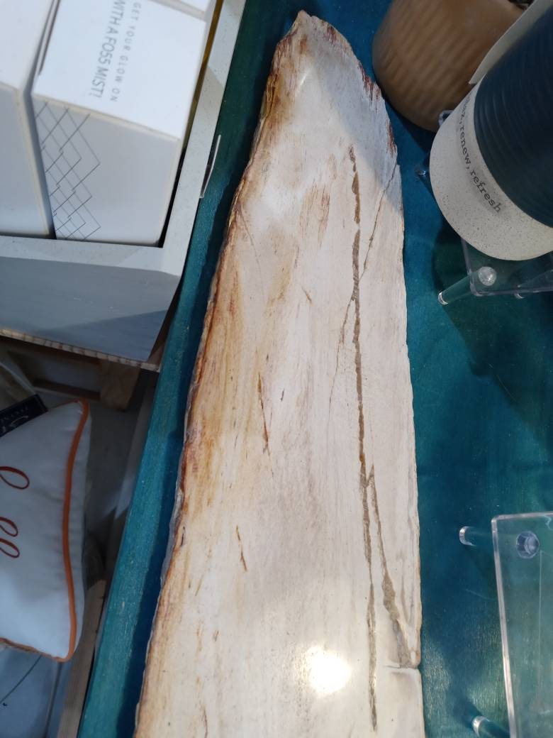 Petrified Wood Slice Charcuterie Cheese Board - Kitchen AccessoriesHousewares & Tabletops by Contrast Inc.