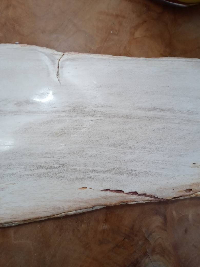 Petrified Wood Slice Charcuterie Cheese Board - Kitchen AccessoriesHousewares & Tabletops by Contrast Inc.