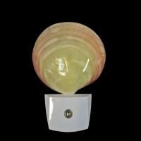 Polished Clam Shell LED Night Light - NightlightTideline