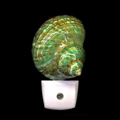 Polished Green Jade Turbo Shell LED Night Light - NightlightTideline