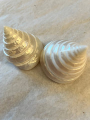 Polished Pearl Trochus Shell - ShellsLoving Coastal Living