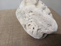 Real Authentic Unique Vintage Fossilized Coral Rock - Etsy