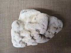 Real Authentic Unique Vintage Fossilized Coral Rock - Etsy