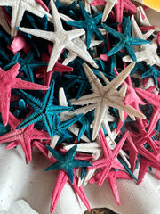 Red, White, & Blue Flat Starfish - ShellsLoving Coastal Living